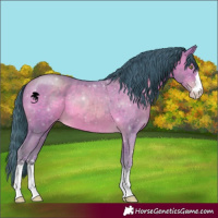 Horse Color:Watercolor Sable Champagne 