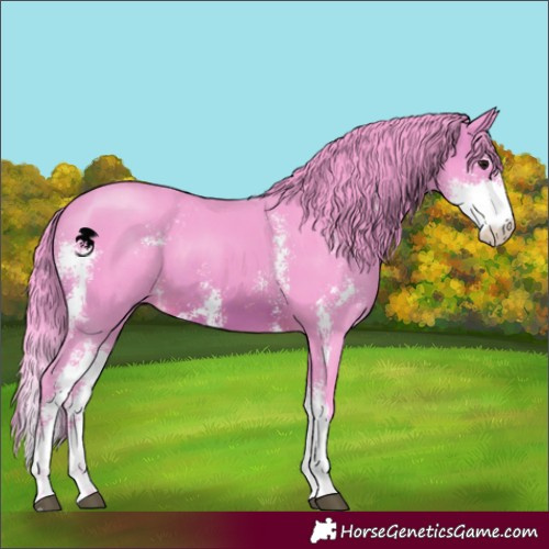 Horse Color:Watercolor Brown Sabino 