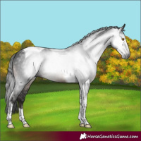 Horse Color:Gray Brown Mushroom Tobiano 
