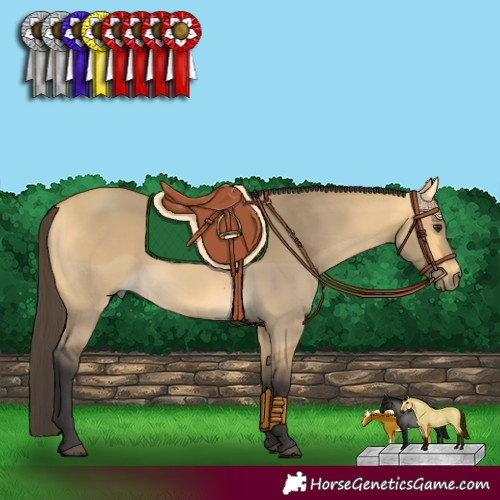Horse Color:Buckskin Dun 