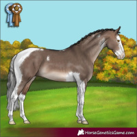 Horse Color:Brown Dun Mushroom Sabino Splash Tobiano 