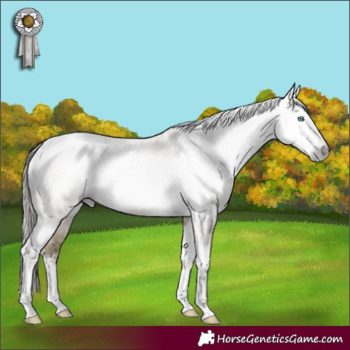 Horse Color:Gray Buckskin Pearl Dun Mushroom Sabino Splash Tobiano 