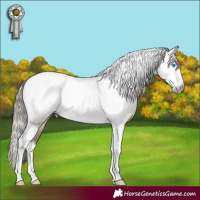 Horse Color:Gray Buckskin Pearl Dun Mushroom Sabino Splash Tobiano 