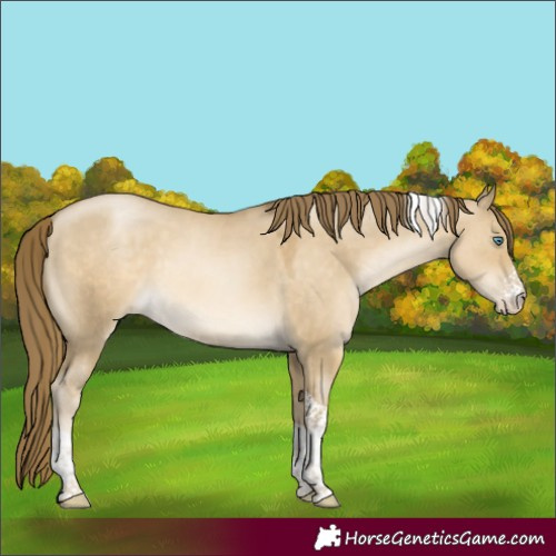 Horse Color:Smoky Grullo Pearl Mushroom Sabino Tobiano Rabicano 
