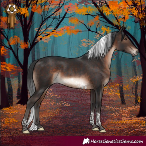 Horse Color:Brown Mushroom Tobiano Rabicano 