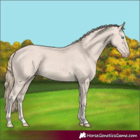 Horse Color:Smoky Creme 