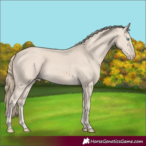 Horse Color:Smoky Creme 