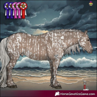 Horse Color:White Spotted Silver Smoky Black Mushroom Sabino  and Silver Grullo Mushroom 