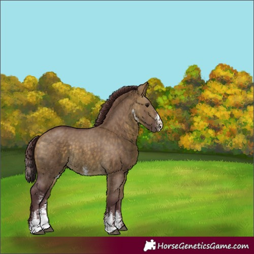 Horse Color:Chocolate Buckskin Dun Sabino Rabicano 