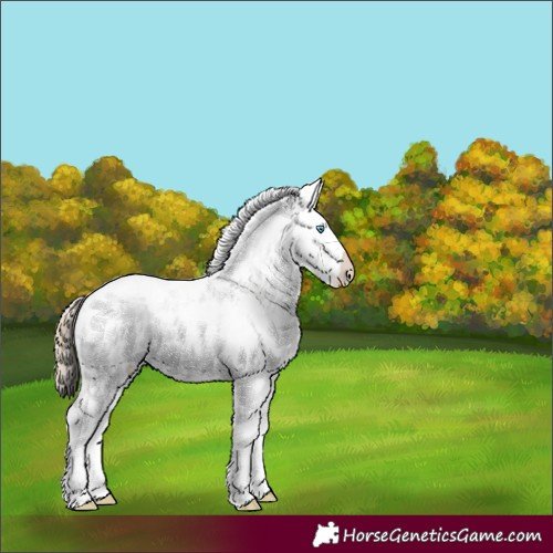 Horse Color:Chocolate Perlino Dun Sabino