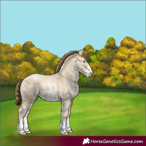 Horse Color:Buckskin Pearl Dun Sabino 