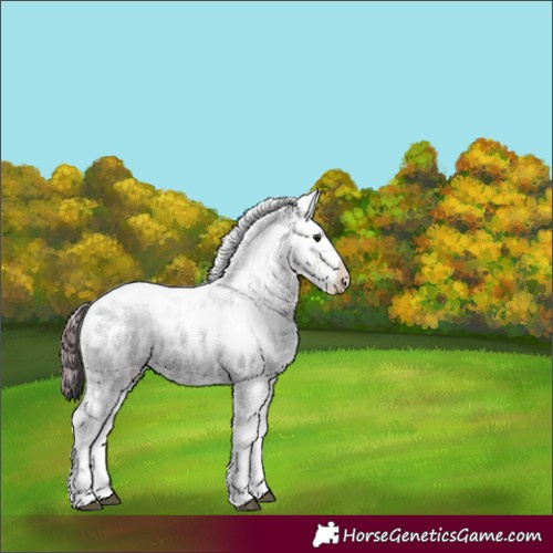 Horse Color:Chocolate Buckskin Sabino Rabicano