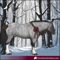 Horse Color:White Spotted Smoky Blue Roan