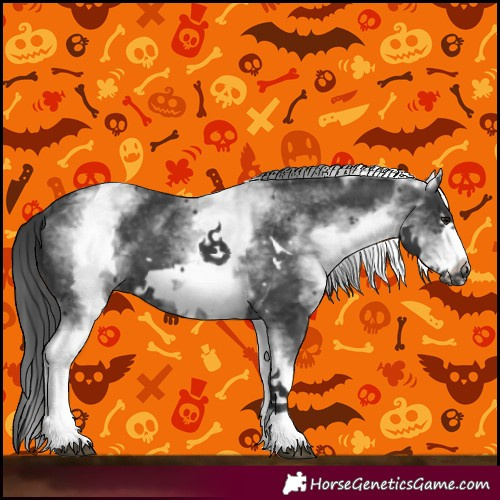 Horse Color:White Spotted Black Frame 