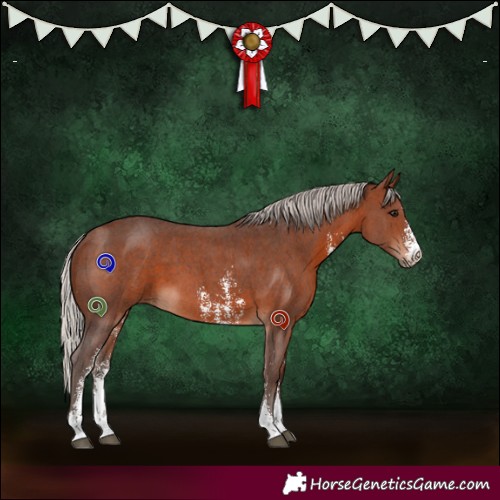 Horse Color:Silver Brown Sabino 