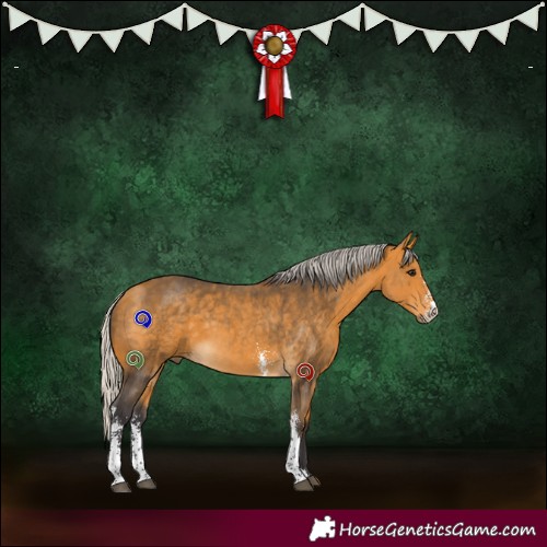 Horse Color:Silver Buckskin Sabino 