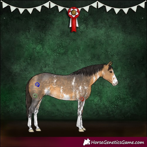 Horse Color:Buckskin Sabino 