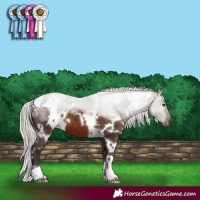 Horse Color:White Spotted Silver Bay Mushroom
