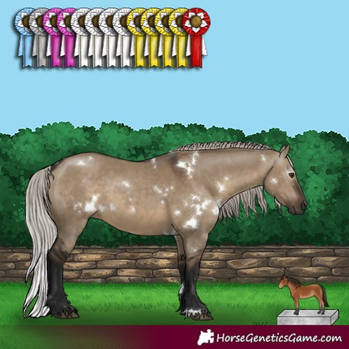 Horse Color:Gray White Spotted Silver Brown Dun 