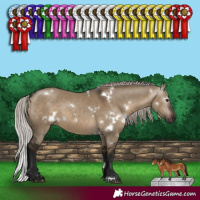 Horse Color:Gray White Spotted Silver Brown Dun 