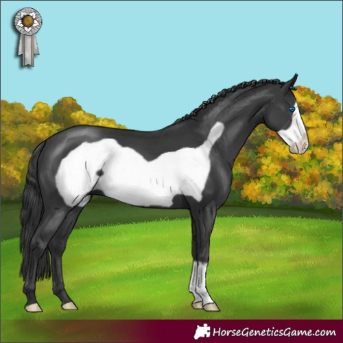 Horse Color:Black Frame