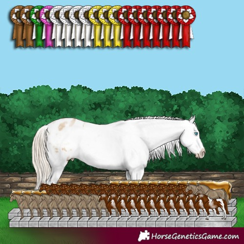 Horse Color:White Spotted Chocolate Palomino Pearl Dun Snowflake Varnish 
