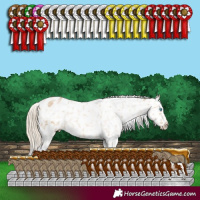 Horse Color:White Spotted Chocolate Palomino Pearl Dun Snowflake Varnish 