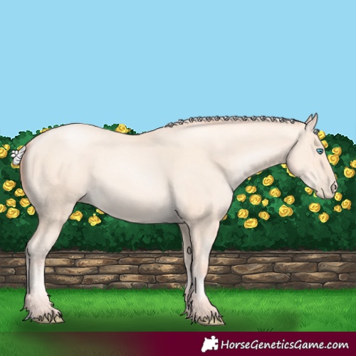 Horse Color:Silver Sable Cream Champagne Pearl 