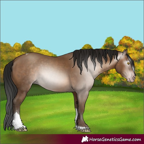 Horse Color:Gray Amber Champagne Tobiano