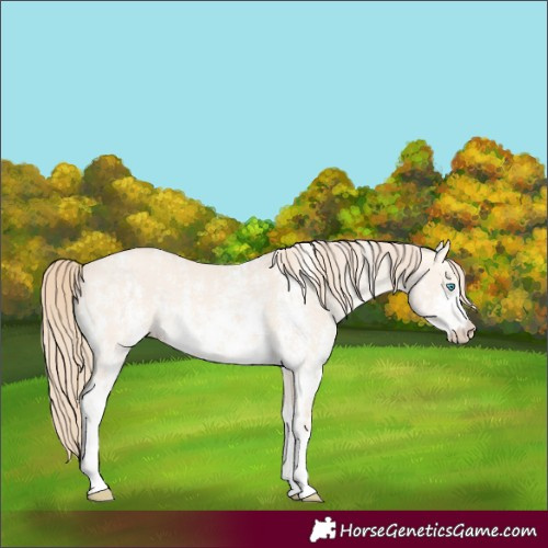 Horse Color:Perlino Dun Sabino  and Perlino Dun Sabino 
