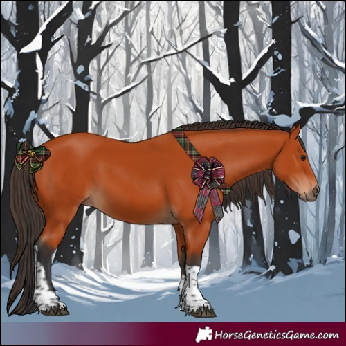 Horse Color:Bay Tobiano Rabicano