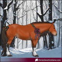 Horse Color:Bay Tobiano Rabicano 