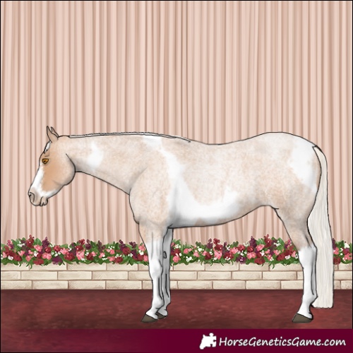 Horse Color:Silver Blue Roan Pearl Tobiano Frame 