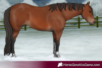 Horse Color:Bay Tobiano Rabicano 