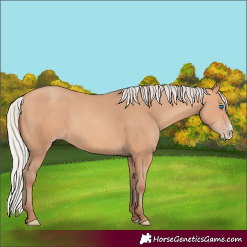 Horse Color:Silver Amber Champagne Frame 