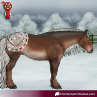 Horse Color:Liver Chestnut Mushroom 