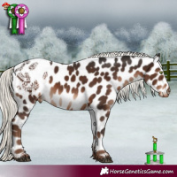 Horse Color:Liver Chestnut Mushroom Leopard 
