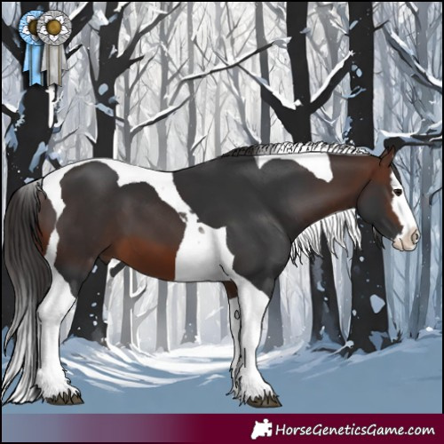 Horse Color:Brown Splash Tobiano 