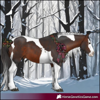 Horse Color:Brown Splash Tobiano 