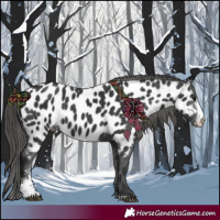 Horse Color:Black Sabino Near Leopard 