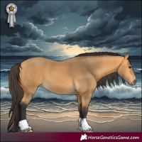 Horse Color:Buckskin