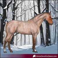 Horse Color:Silver Bay Roan 