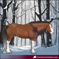 Horse Color:Bay Splash 