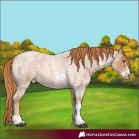 Horse Color:Red Roan Sabino 