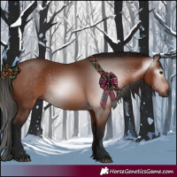Horse Color:Gray Bay 