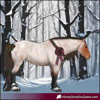 Horse Color:Bay Roan Varnish 