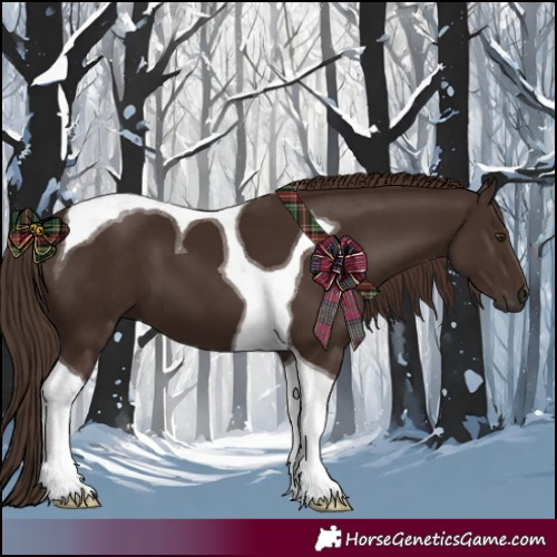 Horse Color:Liver Chestnut Tobiano 