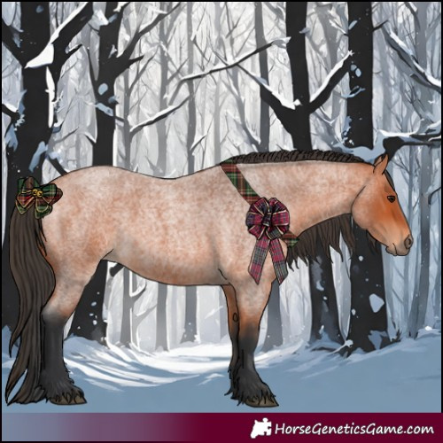 Horse Color:Bay Roan 