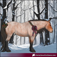 Horse Color:Bay Roan 