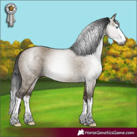 Horse Color:Gray Brown Dun Splash
